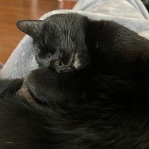 Meet your Posher, Grace